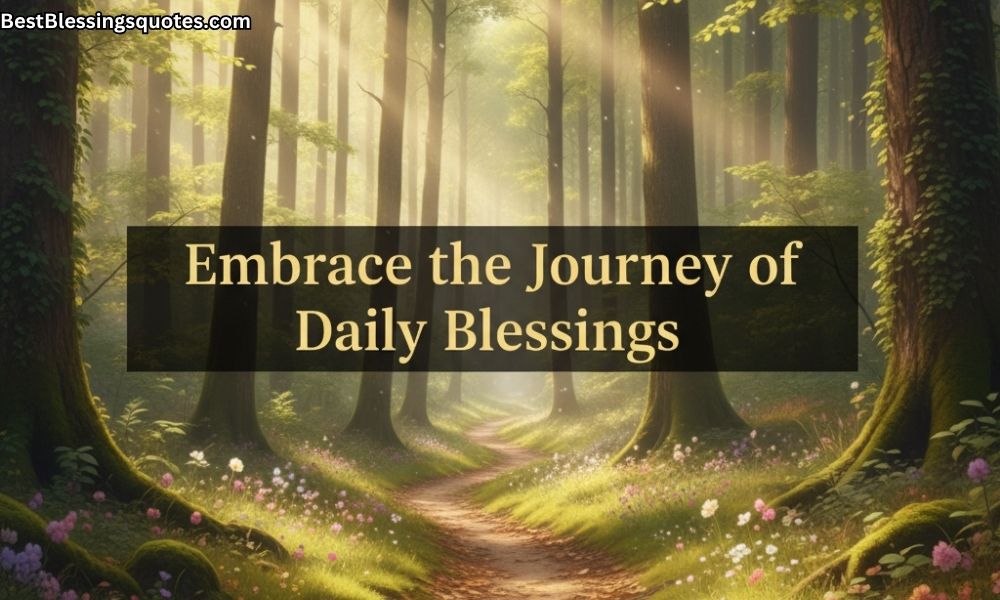 Sunlit forest path representing the journey of daily blessings