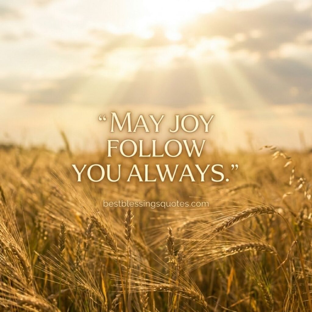 May joy follow you always Irish blessing quote with bright field and sunlight background