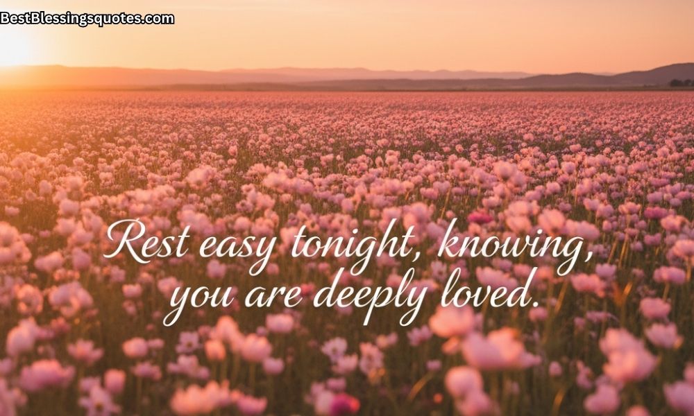 A soft sunset over a blooming flower field with gentle light — featuring the text “Rest easy tonight, knowing you are deeply loved.