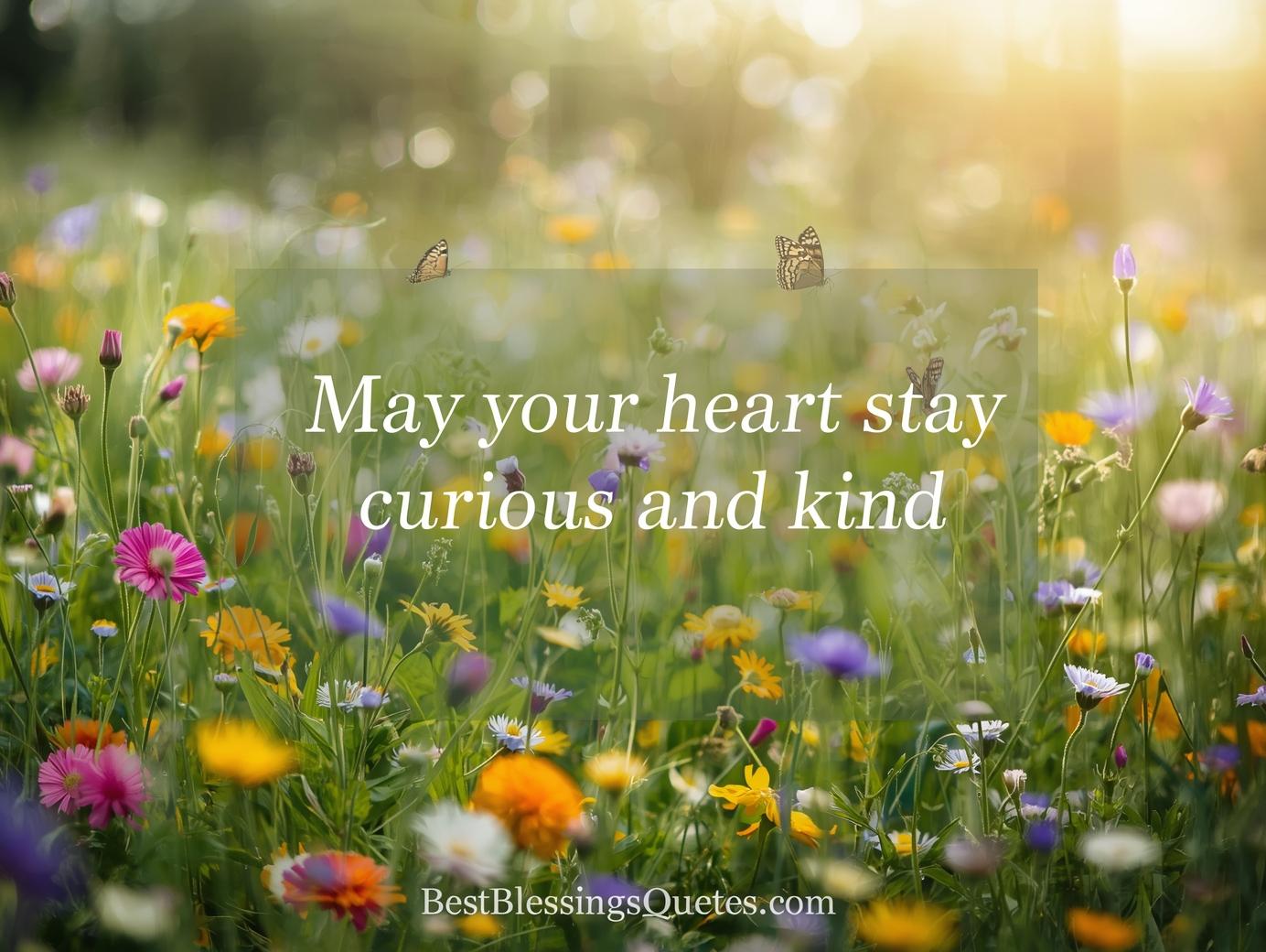 New year blessings: May your heart stay curious and kind in a bright spring meadow.